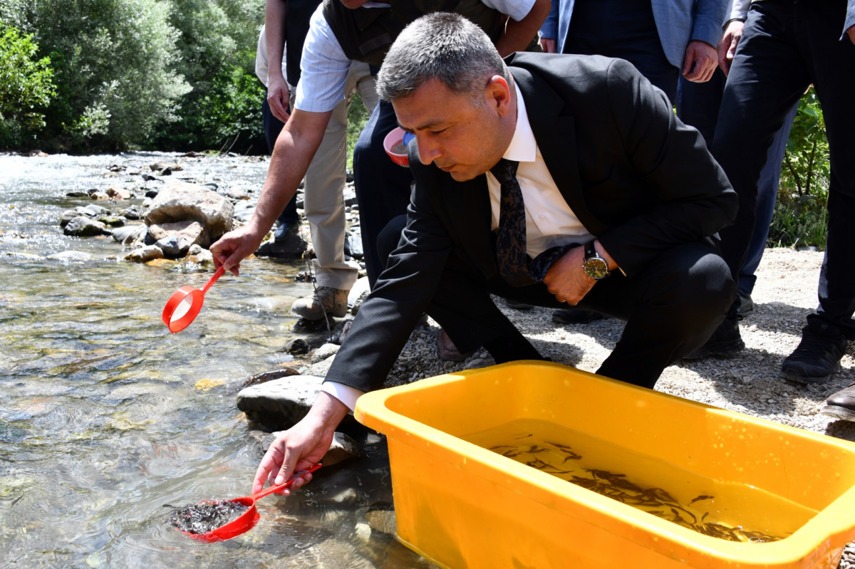 Gümüşhane’de derelere alabalık salındı